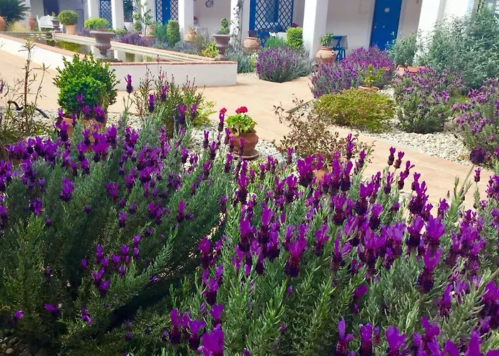 Villaggio Imbesi בית הארחה 3*