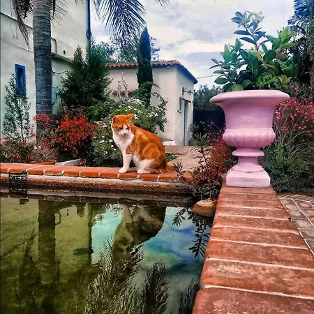 Villaggio Imbesi Pensjonat