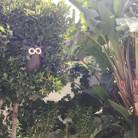 Guest house Villaggio Imbesi